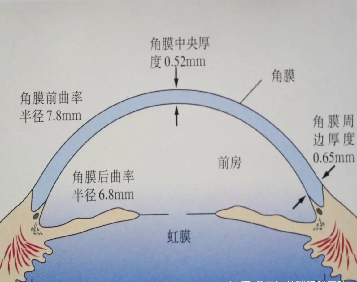 微信截图_20240304162031